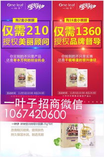 一葉子面膜代理全攻略 半門檻招募助力全國(guó)創(chuàng)業(yè)新機(jī)遇